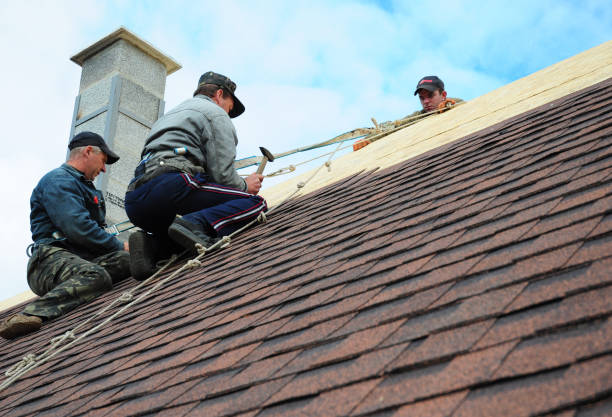 Best Emergency Roof Repair  in Lemon Hill, CA